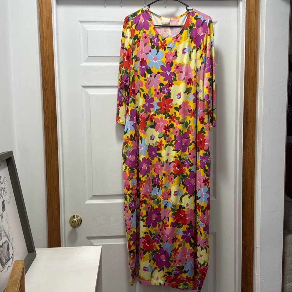 Zadie bs dress